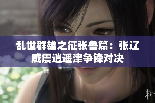 乱世群雄之征张鲁篇：张辽威震逍遥津争锋对决