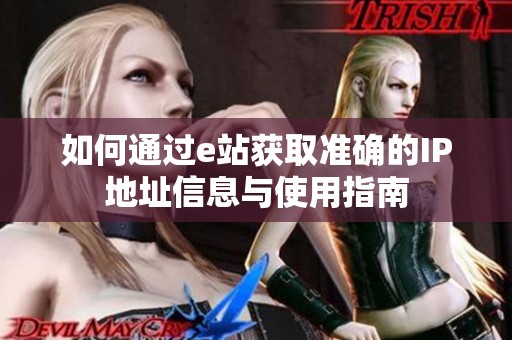 如何通过e站获取准确的IP地址信息与使用指南
