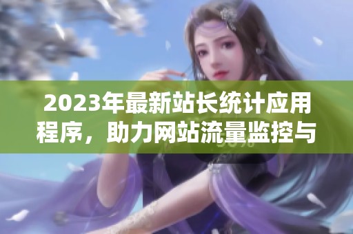 2023年最新站长统计应用程序，助力网站流量监控与分析