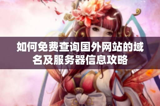 如何免费查询国外网站的域名及服务器信息攻略