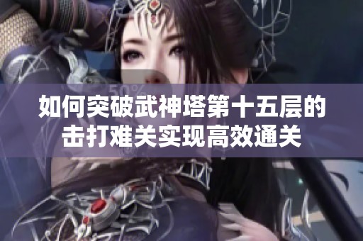 如何突破武神塔第十五层的击打难关实现高效通关