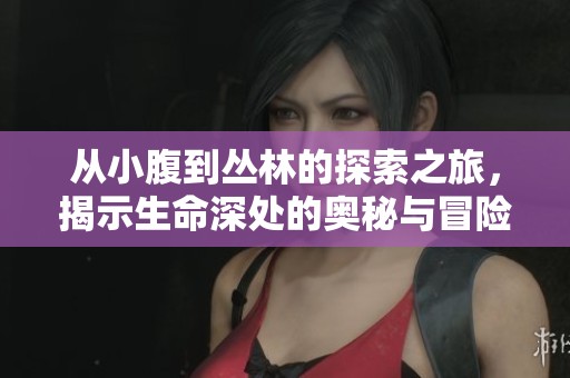 从小腹到丛林的探索之旅，揭示生命深处的奥秘与冒险