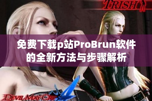 免费下载p站ProBrun软件的全新方法与步骤解析