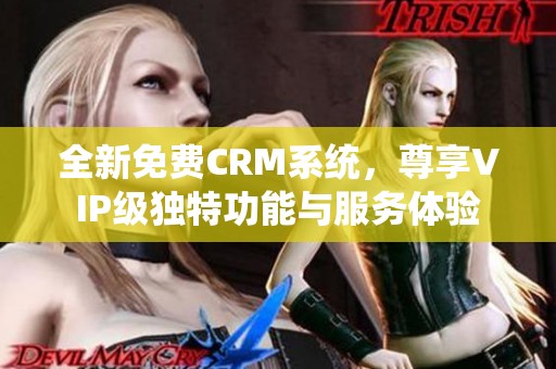 全新免费CRM系统，尊享VIP级独特功能与服务体验