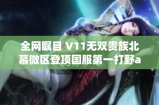 全网瞩目 V11无双贵族北慕微区登顶国服第一打野ay感谢支持