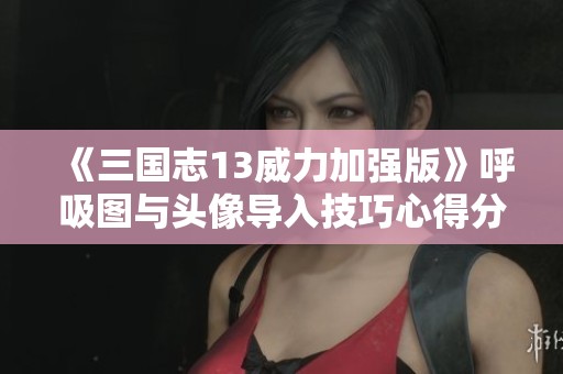 《三国志13威力加强版》呼吸图与头像导入技巧心得分享