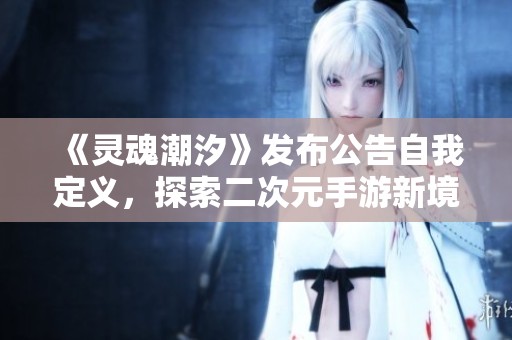 《灵魂潮汐》发布公告自我定义，探索二次元手游新境界