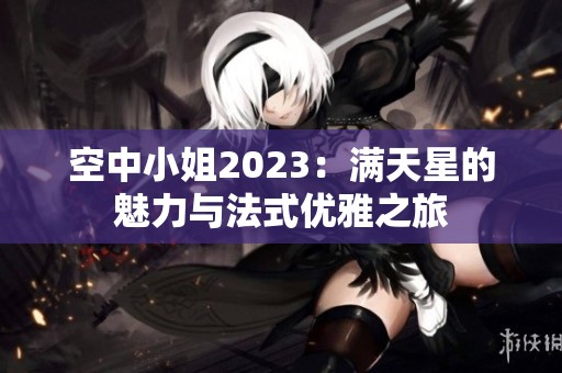 空中小姐2023：满天星的魅力与法式优雅之旅