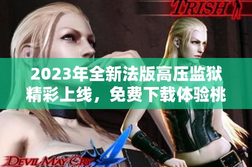 2023年全新法版高压监狱精彩上线，免费下载体验桃运生活