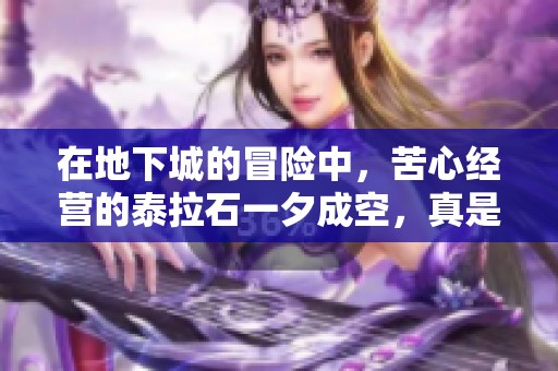 在地下城的冒险中，苦心经营的泰拉石一夕成空，真是令人心碎