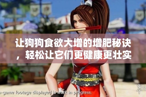 让狗狗食欲大增的增肥秘诀，轻松让它们更健康更壮实