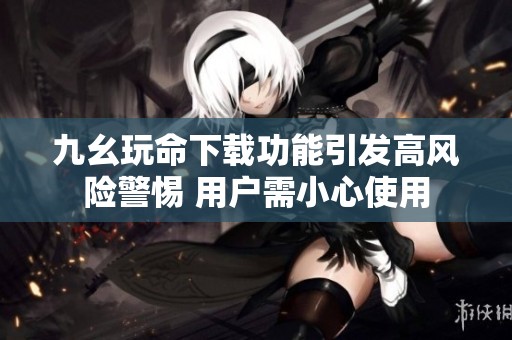 九幺玩命下载功能引发高风险警惕 用户需小心使用