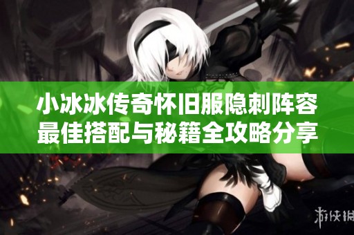 小冰冰传奇怀旧服隐刺阵容最佳搭配与秘籍全攻略分享