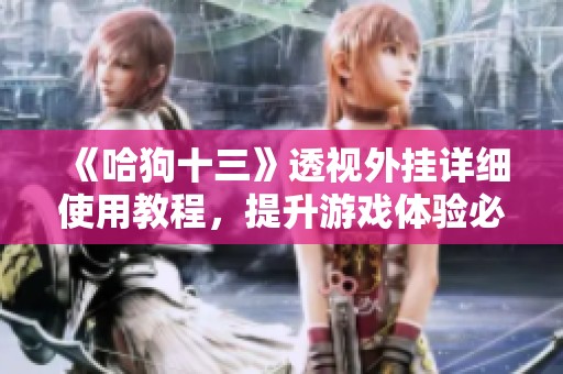 《哈狗十三》透视外挂详细使用教程，提升游戏体验必看！