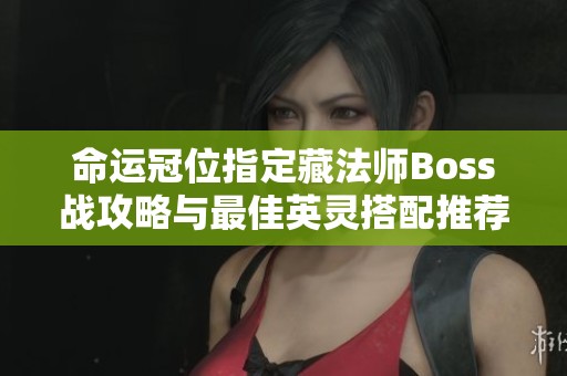 命运冠位指定藏法师Boss战攻略与最佳英灵搭配推荐