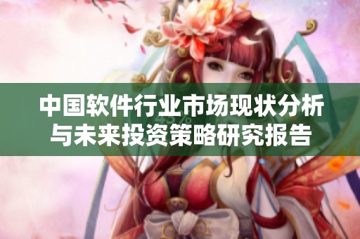 中国软件行业市场现状分析与未来投资策略研究报告
