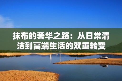 抹布的奢华之路：从日常清洁到高端生活的双重转变