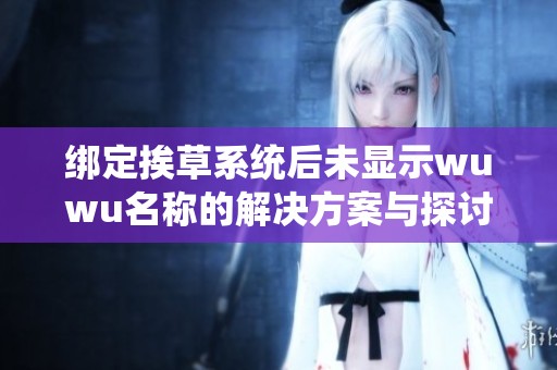 绑定挨草系统后未显示wuwu名称的解决方案与探讨