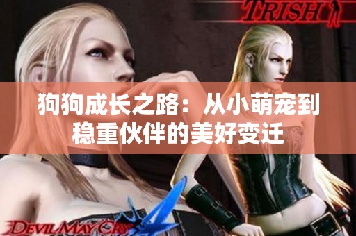 狗狗成长之路：从小萌宠到稳重伙伴的美好变迁