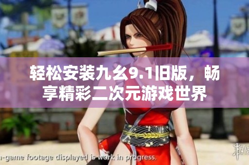 轻松安装九幺9.1旧版，畅享精彩二次元游戏世界