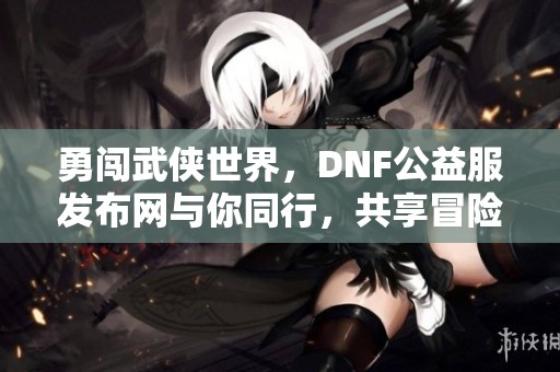 勇闯武侠世界，DNF公益服发布网与你同行，共享冒险旅程