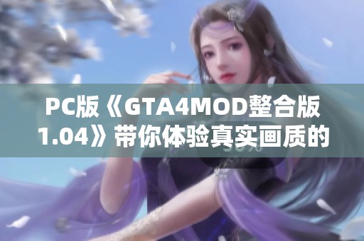 PC版《GTA4MOD整合版1.04》带你体验真实画质的简体中文版本