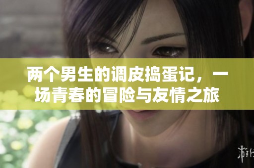 两个男生的调皮捣蛋记，一场青春的冒险与友情之旅