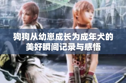 狗狗从幼崽成长为成年犬的美好瞬间记录与感悟