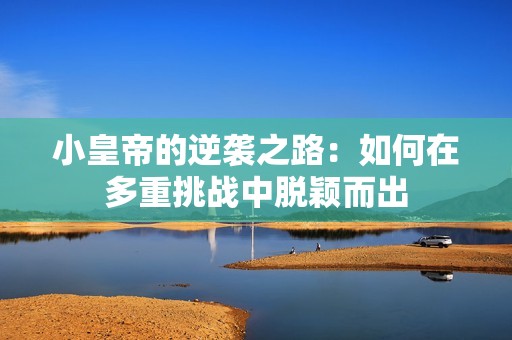 小皇帝的逆袭之路：如何在多重挑战中脱颖而出
