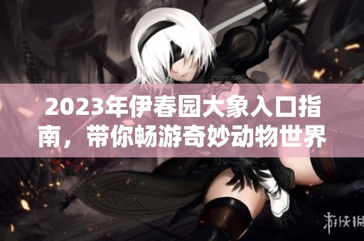 2023年伊春园大象入口指南，带你畅游奇妙动物世界