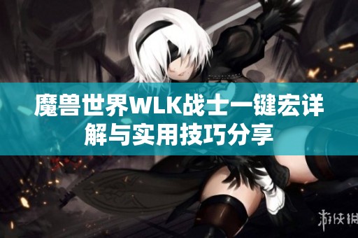 魔兽世界WLK战士一键宏详解与实用技巧分享