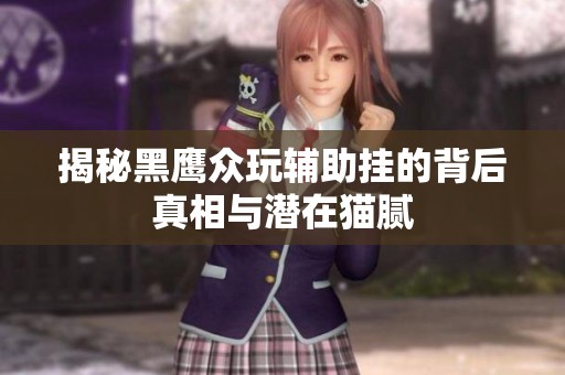 揭秘黑鹰众玩辅助挂的背后真相与潜在猫腻