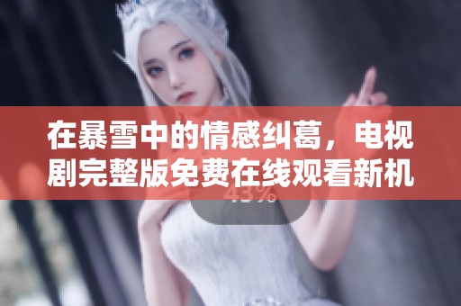在暴雪中的情感纠葛，电视剧完整版免费在线观看新机会