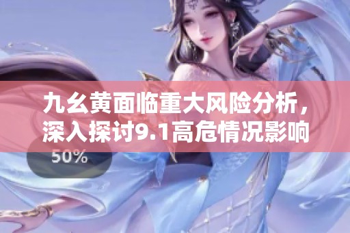 九幺黄面临重大风险分析，深入探讨9.1高危情况影响与应对策略