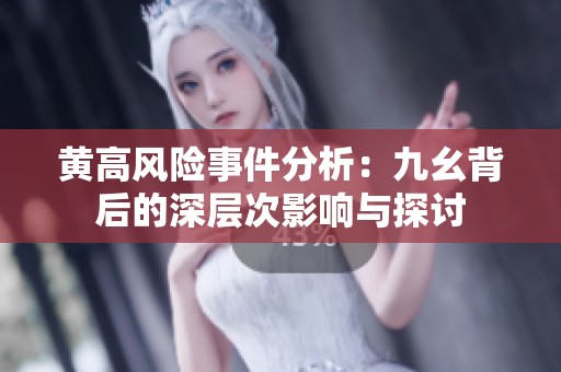 黄高风险事件分析：九幺背后的深层次影响与探讨