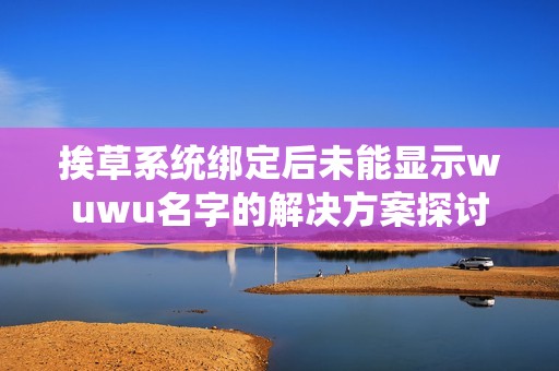 挨草系统绑定后未能显示wuwu名字的解决方案探讨