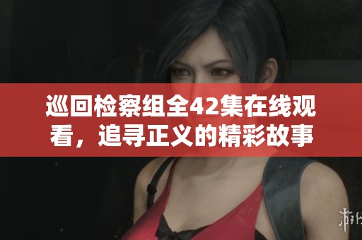 巡回检察组全42集在线观看，追寻正义的精彩故事