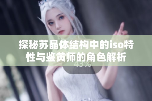 探秘苏晶体结构中的iso特性与鉴黄师的角色解析