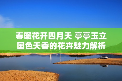 春暖花开四月天 亭亭玉立国色天香的花卉魅力解析