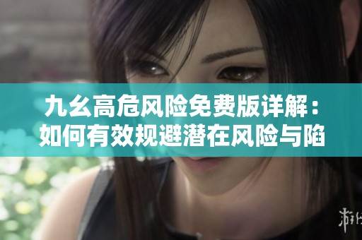 九幺高危风险免费版详解：如何有效规避潜在风险与陷阱