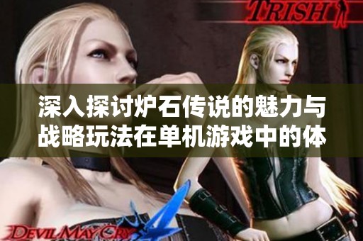 深入探讨炉石传说的魅力与战略玩法在单机游戏中的体验