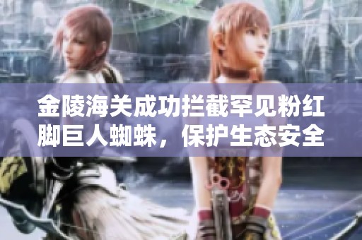 金陵海关成功拦截罕见粉红脚巨人蜘蛛，保护生态安全