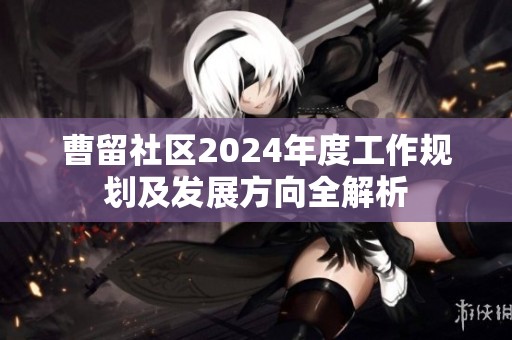曹留社区2024年度工作规划及发展方向全解析