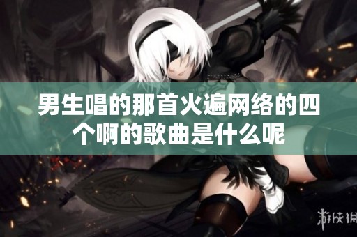 男生唱的那首火遍网络的四个啊的歌曲是什么呢