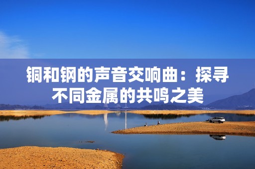 铜和钢的声音交响曲：探寻不同金属的共鸣之美