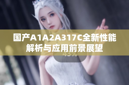 国产A1A2A317C全新性能解析与应用前景展望