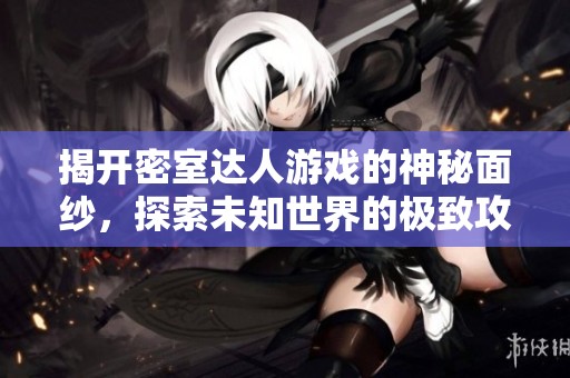 揭开密室达人游戏的神秘面纱，探索未知世界的极致攻略体验