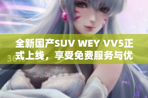 全新国产SUV WEY VV5正式上线，享受免费服务与优质体验