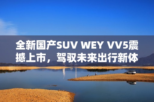 全新国产SUV WEY VV5震撼上市，驾驭未来出行新体验