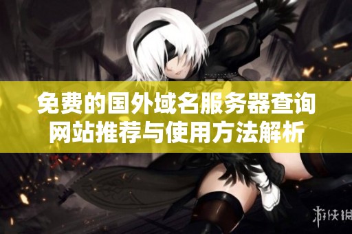 免费的国外域名服务器查询网站推荐与使用方法解析